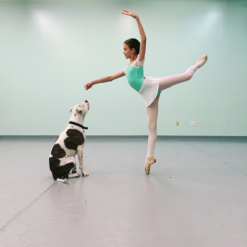 Meet your Posher, Dasha